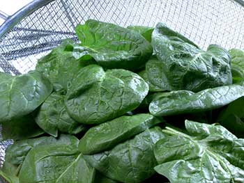Spinach, a high-iron food