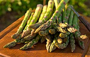 Fresh asparagus piled on a board in afternoon sunlight