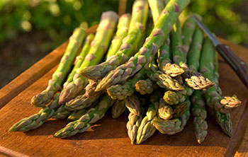 A handful of fresh asparagus lying on a picnic table