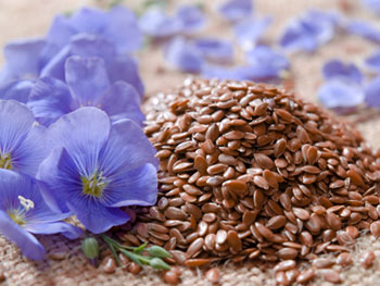 Flaxseeds and flax flowers. Flaxseed oil is a good source of omega-3 fatty acids