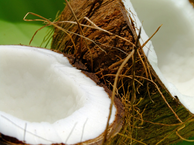 a fresh coconut, cut in half to show the coconut flesh inside
