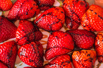 strawberries drizzled with balsamic vinegar