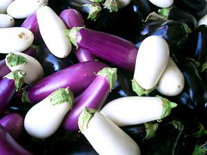 Three Types of Eggplant