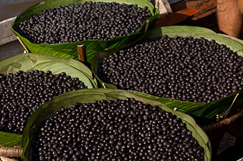 acai berries in bushel baskets