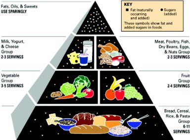 1992 Food Pyramid