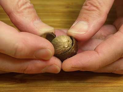 First, remove the outer shell of the nutmeg and discard.
