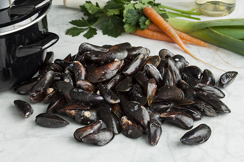 Fresh uncleaned mussels