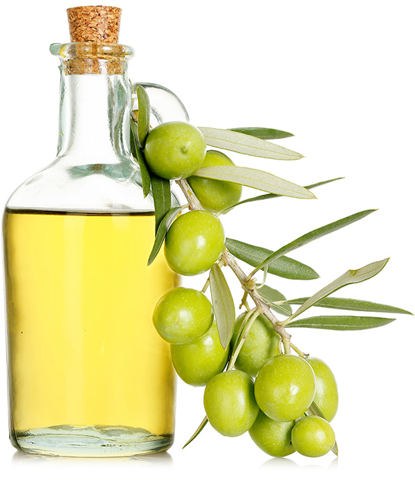 a glass jug of olive oil and an olive branch with leaves and fruit