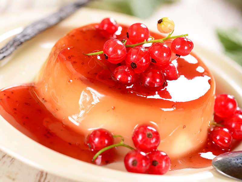 Holiday Panna Cotta with Chocolate Cranberry Sauce from Dr. Gourmet