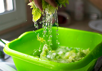 washing lettuce in a green plastic bowl