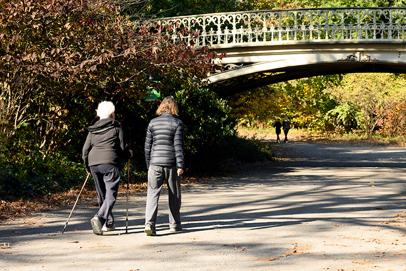 two people walking in Central Park, New York City