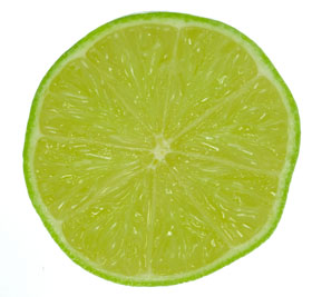 Lime Slice