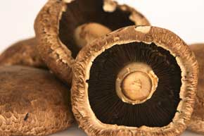 Portobello Mushrooms